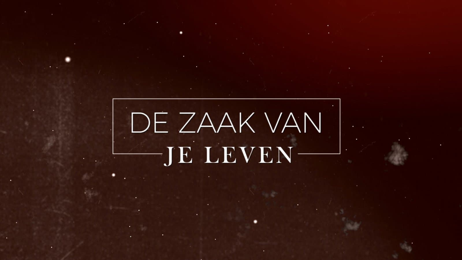 De zaak van je leven &#8211; De meisje van Bouvigne